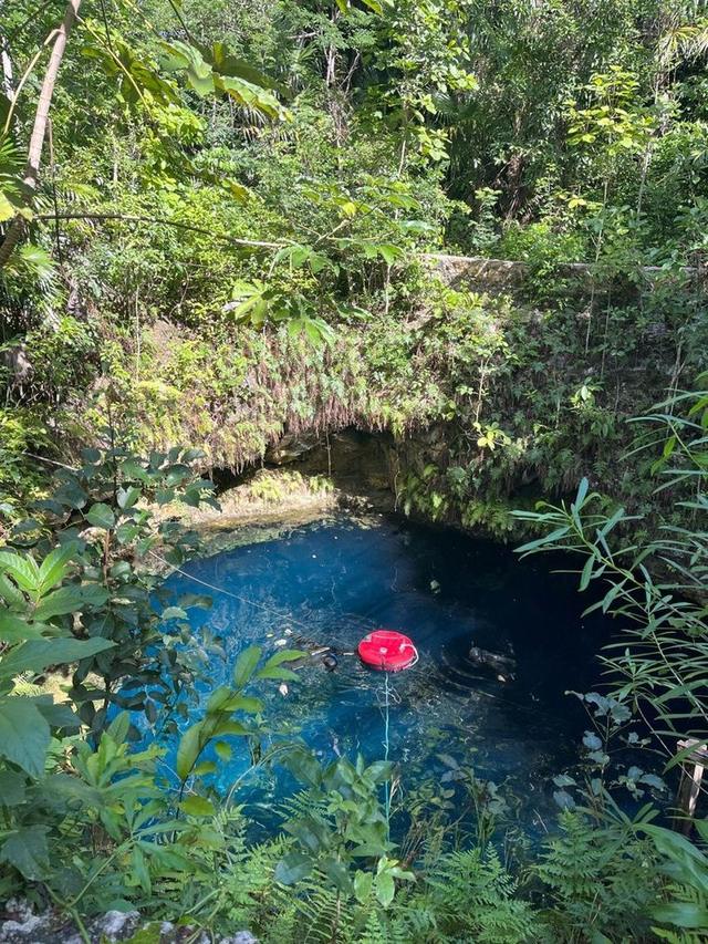 A cenote hidden in the Yucatán jungle