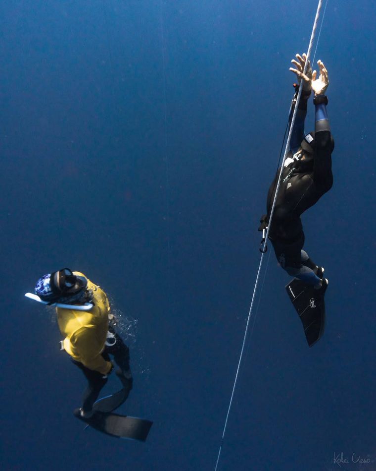 Coached depth training over the Roatán reef wall